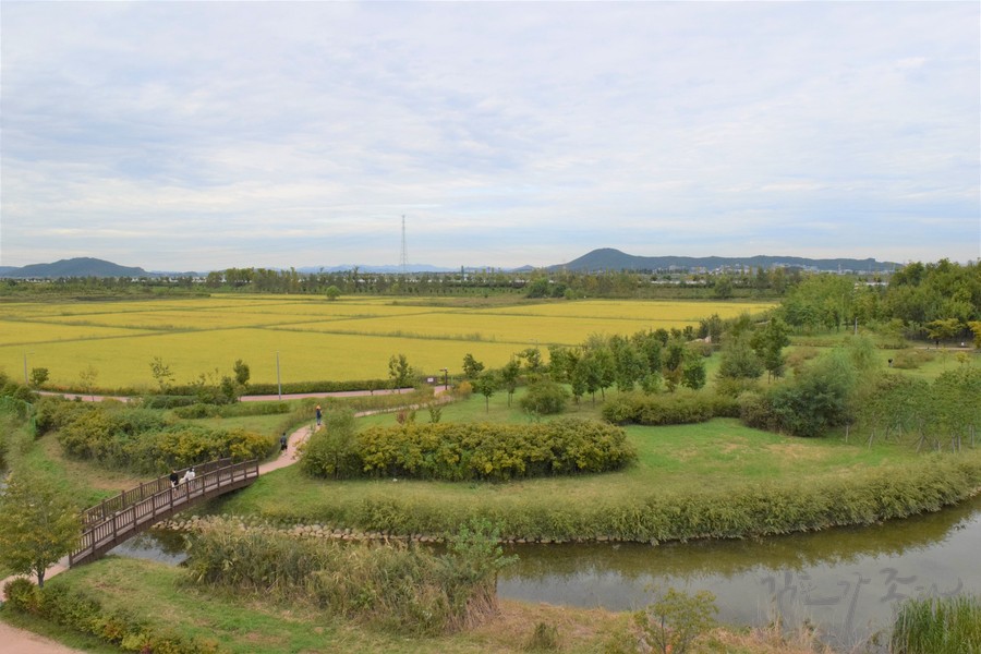 김포한강야생조류생태공원의 풍경/사진제공=김포시청 블로그