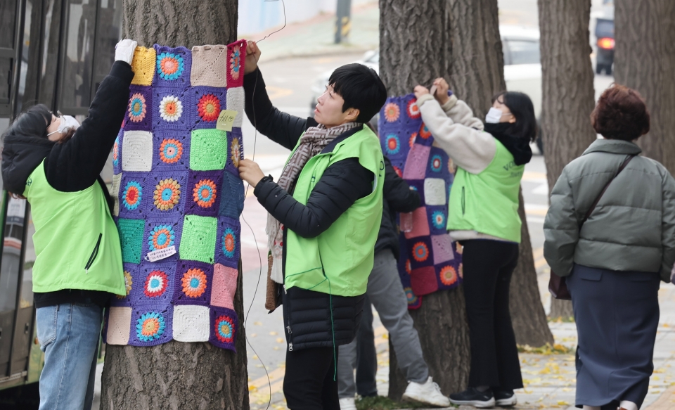 ▲ 22일 인천 미추홀구청 앞에 있는 가로수에 자원봉사자들이 뜨개질로 만든 털실 겨울옷을 입히고 있다. /이재민 기자 leejm@incheonilbo.com
