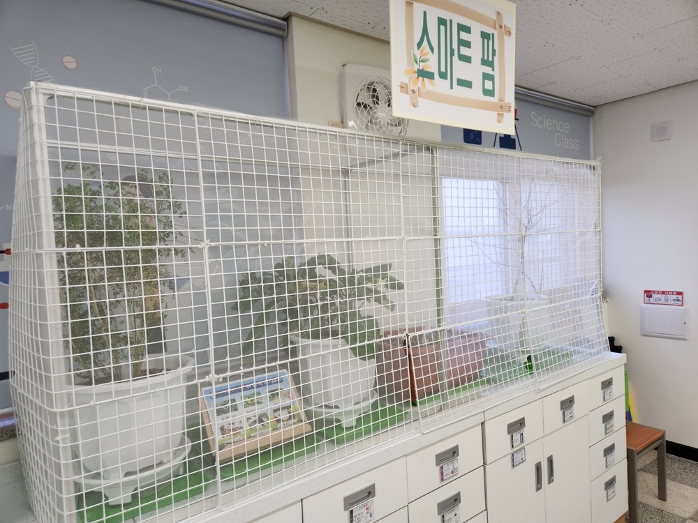 ▲ 부천 중동초 미래형 과학실에 설치된 스마트팜 모습. 학생들은 알에서부터 우화까지 곤충의 생애를 직접 볼 수 있다.
